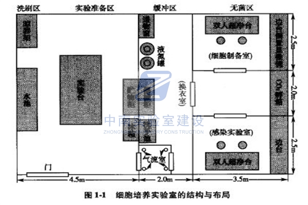 细胞培养实验室规划设计