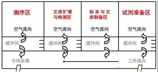 高通量测序检测实验室设计