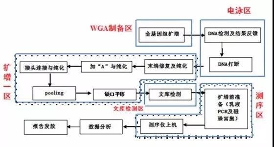 高通量测序检测实验室设计