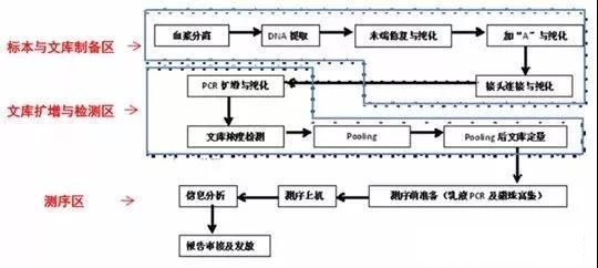 高通量测序检测实验室设计