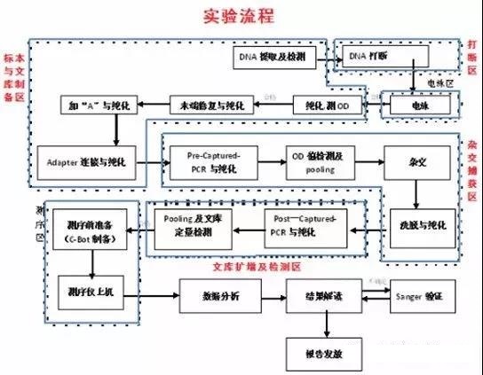 高通量测序检测实验室设计