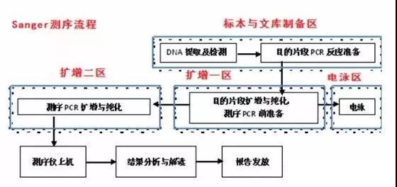 高通量测序检测实验室设计