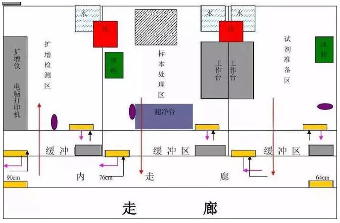 医院PCR实验室的布局与设计要点