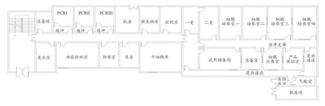 干细胞实验室建设