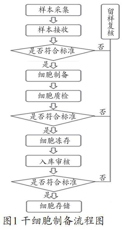 干细胞实验室建设