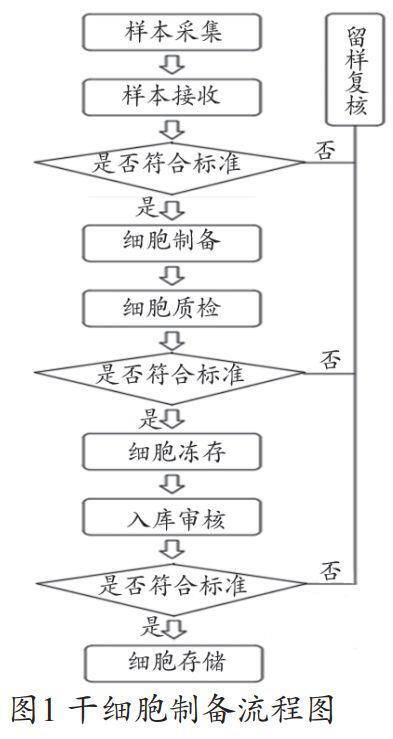 干细胞实验室建设