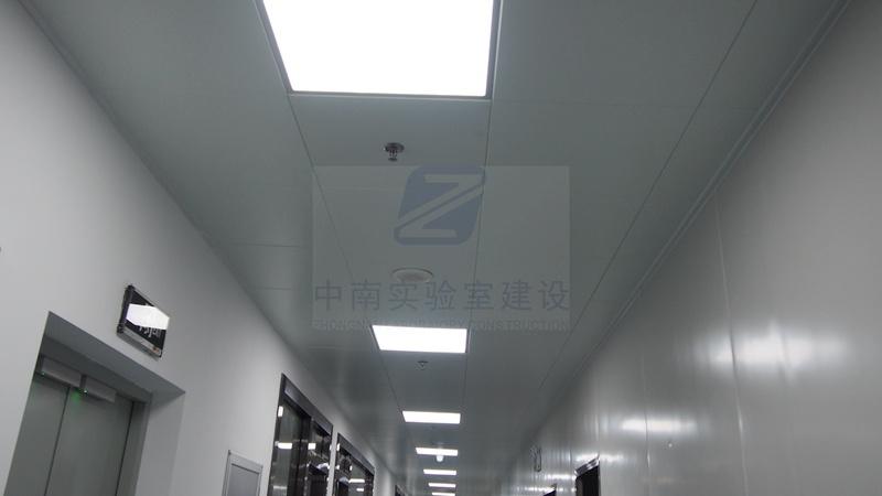 在建设动物实验室时要注意什么？？